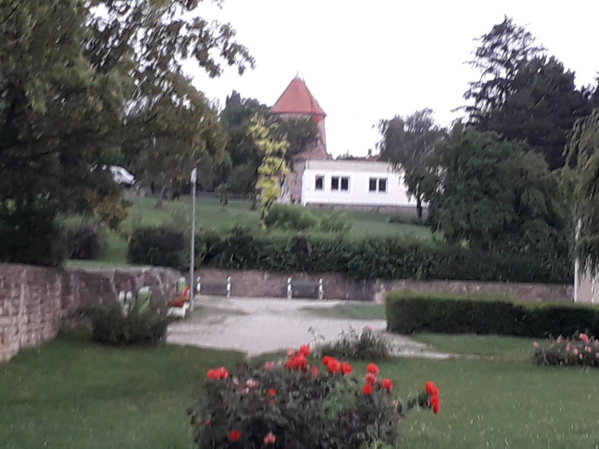 לינה וארוחת בוקר סופרון Fenyes Vinorium מראה חיצוני תמונה